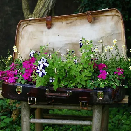 Le Jardin