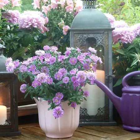 Le Jardin *