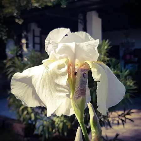 Bed and breakfast Le Jardin