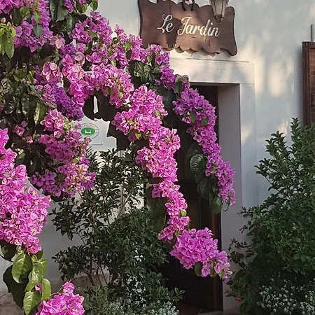 Le Jardin *